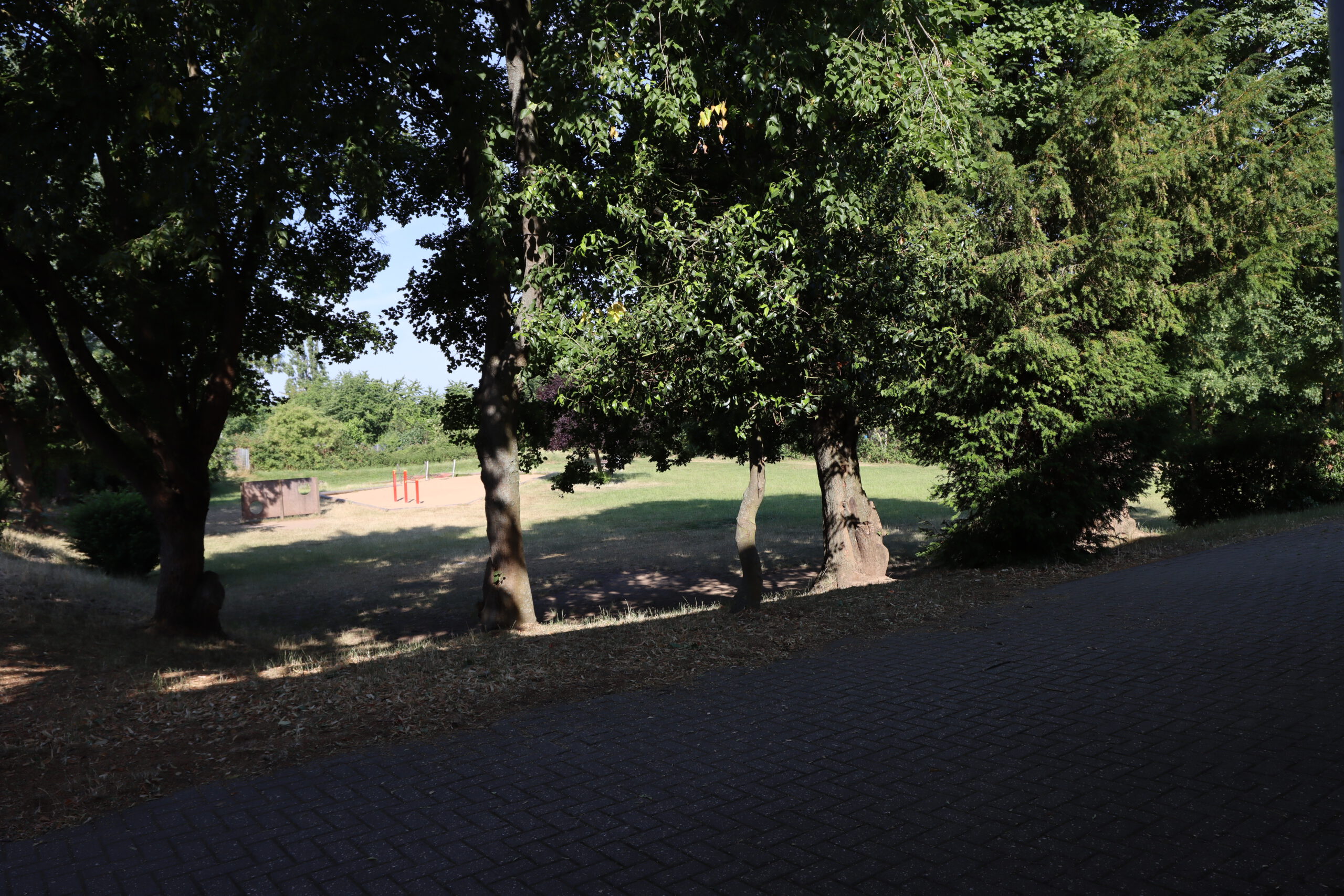 Blick auf die Spielwiese
